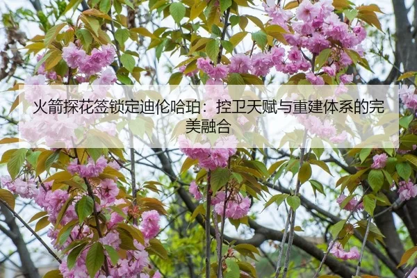 火箭探花签锁定迪伦哈珀：控卫天赋与重建体系的完美融合